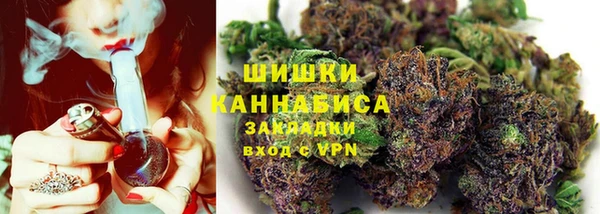 ПСИЛОЦИБИНОВЫЕ ГРИБЫ Алексеевка