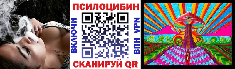 OMG ТОР  Дыгулыбгей  Псилоцибиновые грибы мицелий 